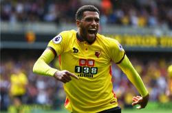 关于沃特福德主场战平对手，积累宝贵一分的信息