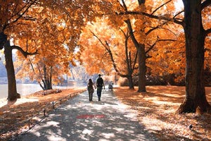 沃尔夫斯堡客场大胜，形势逐渐明朗