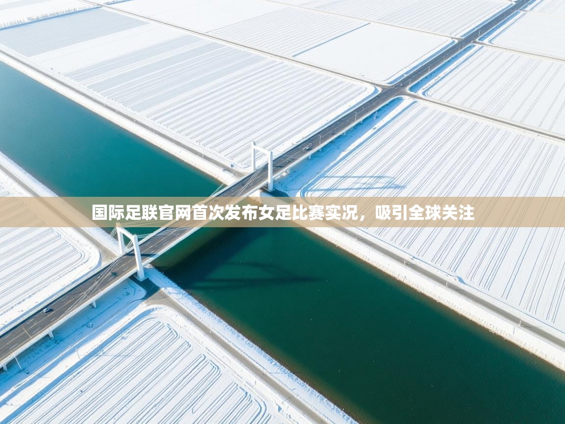 国际足联官网首次发布女足比赛实况，吸引全球关注  第2张
