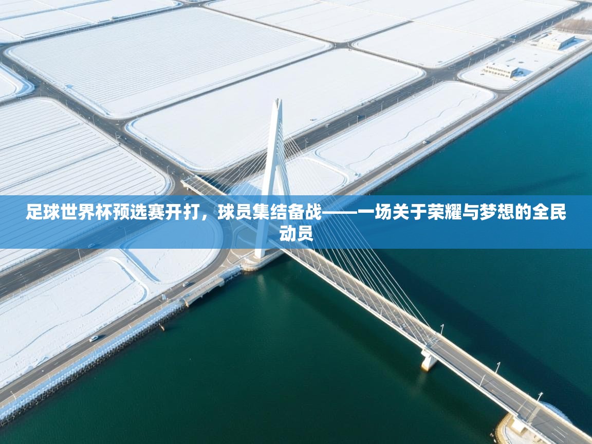 足球世界杯预选赛开打，球员集结备战——一场关于荣耀与梦想的全民动员  第1张