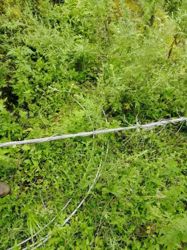 佛罗伦萨防线失误频出，需紧急修补的简单介绍